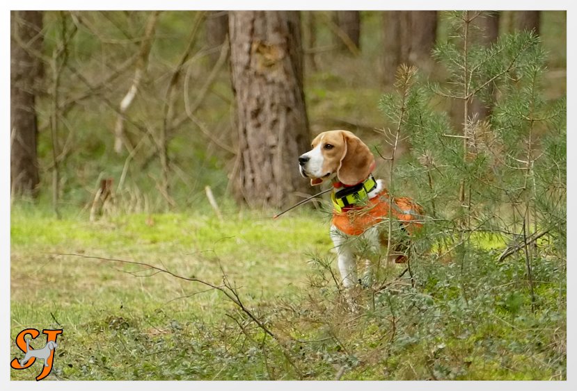 2023-03-19-Tiara 0858AAA--HP-neu 2023-03-19-Tiara 0858AAA--HP-neu