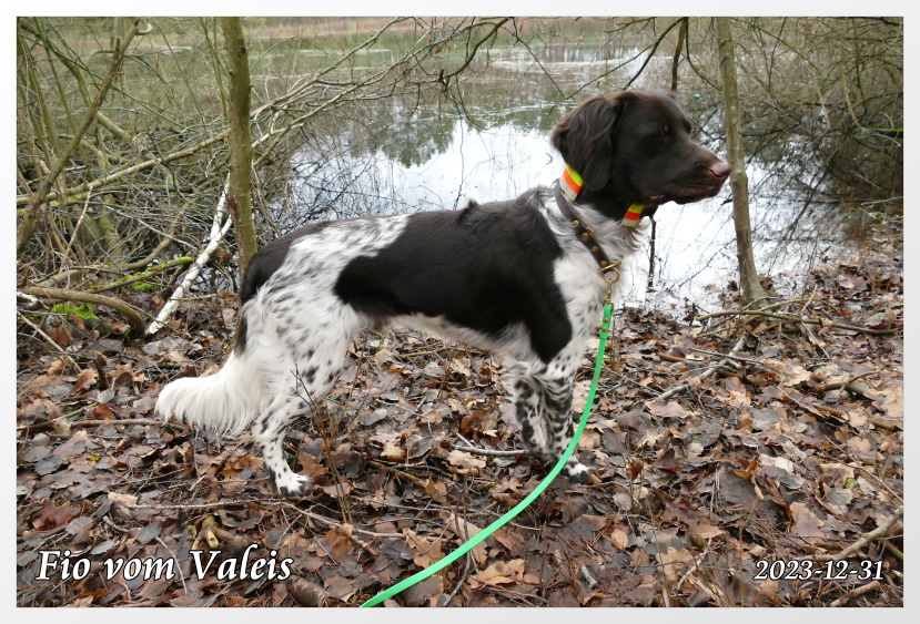 2023-12-31-Fio 017-HP-800 2023-12-31-Fio 017-HP-800