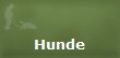 Hunde